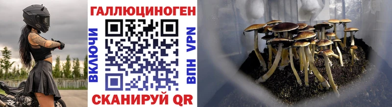 Псилоцибиновые грибы мухоморы  Купить где  Чистополь 